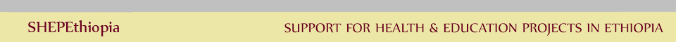 Logo and name