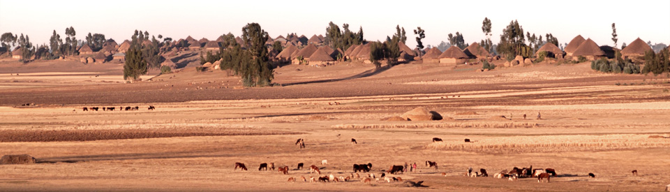 Village