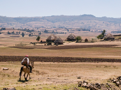 horseman and houses