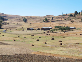 Remote School